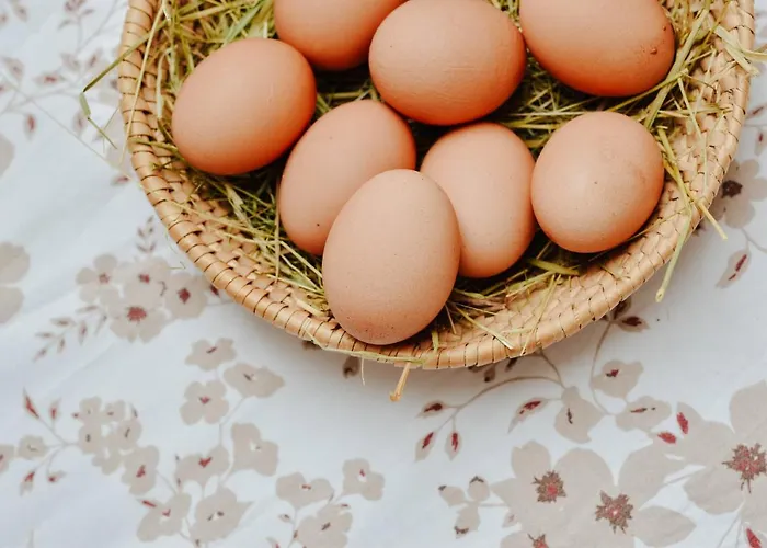 Cenda Апартаменты Железники